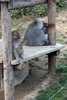 Dalian forest zoo, зоопарк в Даляне