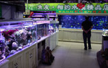 Dalian Zoo Market, Птичий рынок в Даляне
